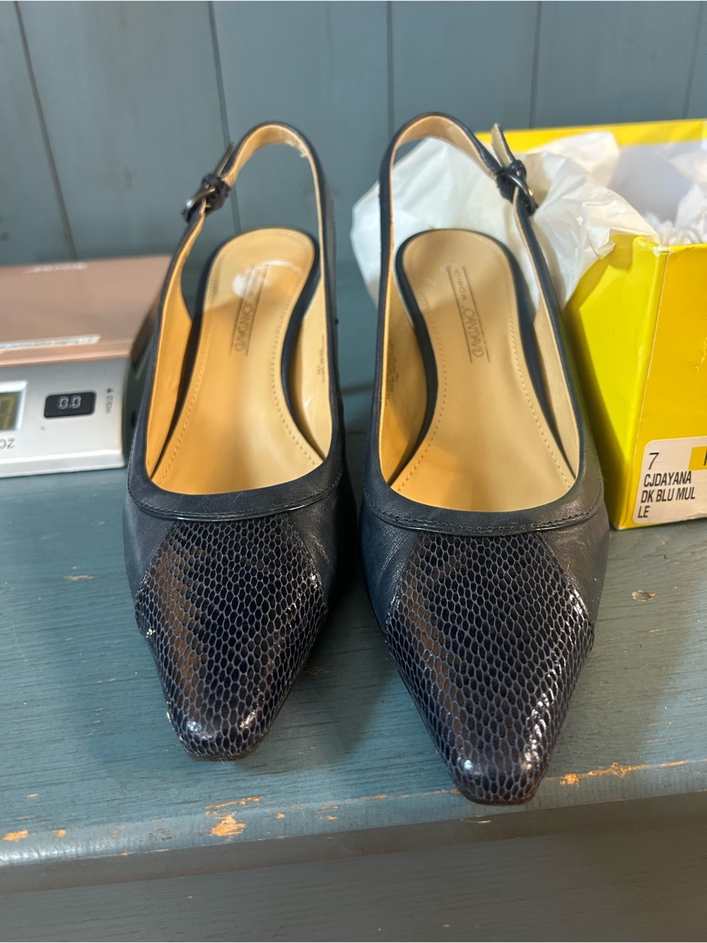 Circa by Joan & David Pointed Slingback Pumps in Dark Blue with Textured Toe | 7